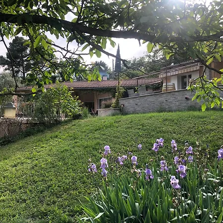 Provencale *